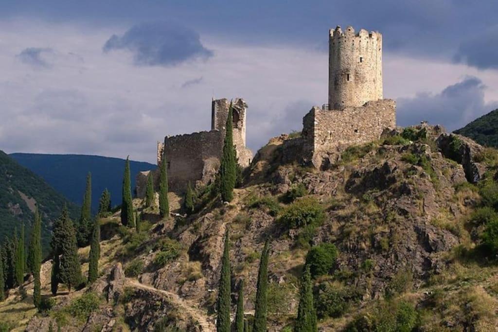Maison Sur Les Hauteurs De Carcassonne Bagian luar foto