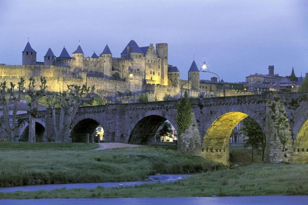 Maison Sur Les Hauteurs De Carcassonne Bagian luar foto